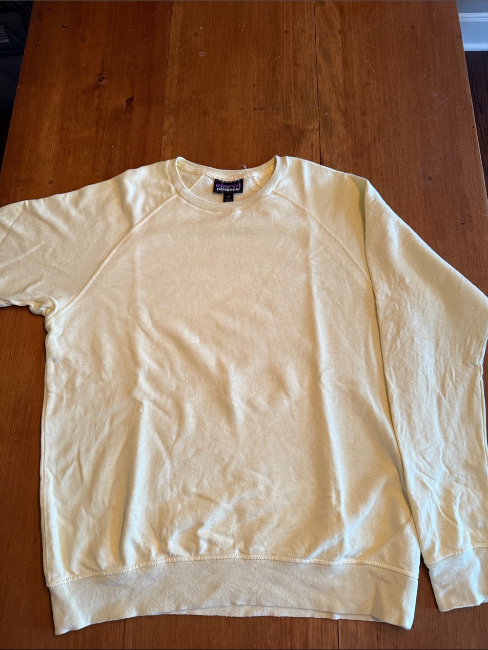Patagonia sweater